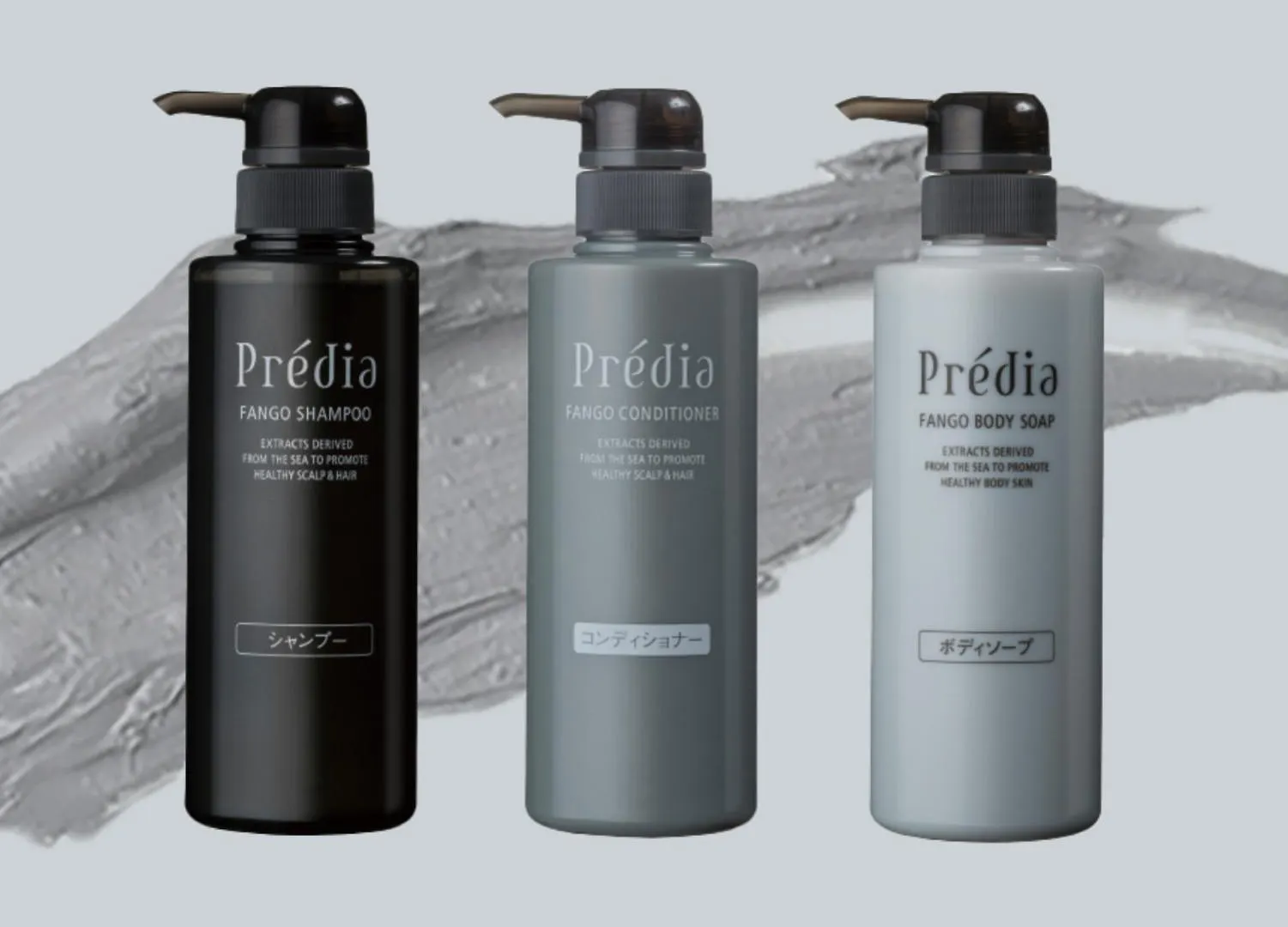Premier Hotel - Cabin President - Χακοντάτε