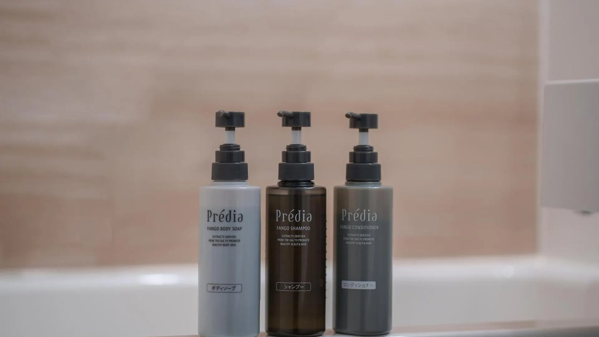 Premier Hotel - Cabin President - Χακοντάτε